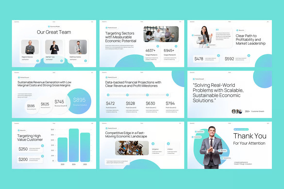 Economy Pitch