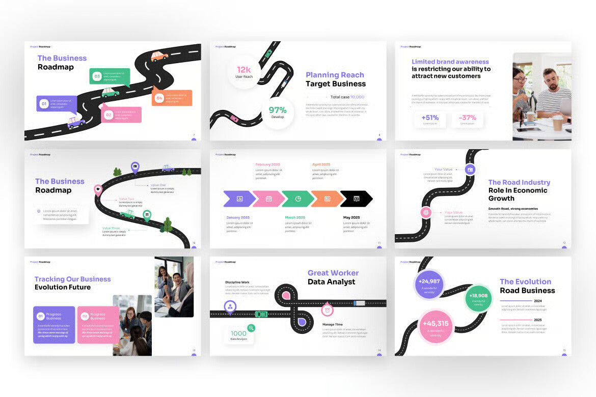 Project Roadmap