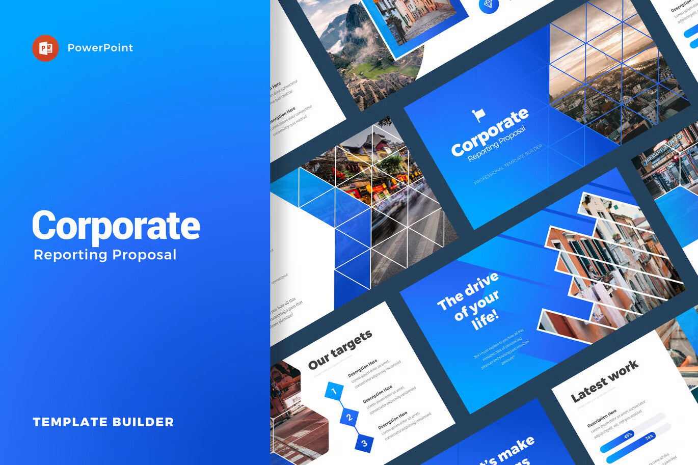 Corporate Reporting Infographics Proposal